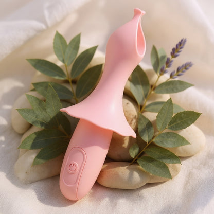 Mr.Ballet